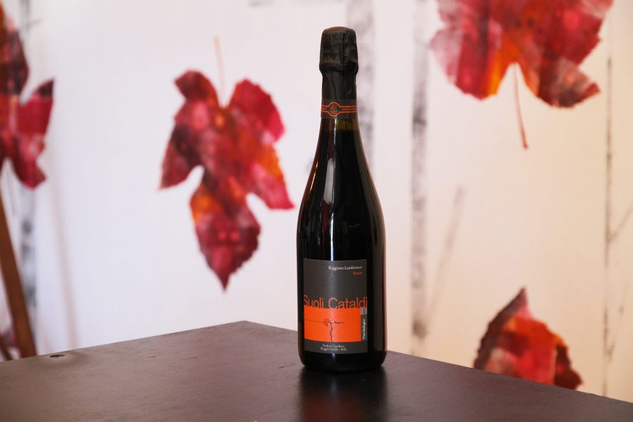 Lambrusco Biologico, Reggiano Rosso ∙ Cantina Suoli Cataldi - immagine 2